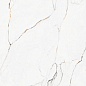 Torano Dorado Polished Rec 60x60 Pamesa