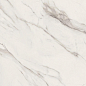 G67580 Statuario White Lux R 60x120 Versace (Gardenia Orchidea) фото в миниатюре 2