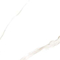 2460520 Marmoker Statuario Oro Honed 60x120 Casalgrande Padana