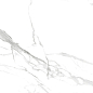 60120CLM15P Calacatta Montreal 60x120 LCM