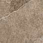 Dynasty Forest 20*20 Cerdomus