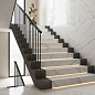 Marble Black Rhino фото в миниатюре 4