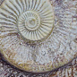 FM3333 Fossil Mix 33х33 Serapool