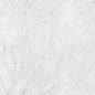 PF60012758 Carrara Nat Ret 60x120 ABK
