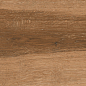 AB 1164W Wildwood Dark Brown 1200x200 Absolut Gres