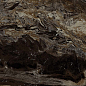 MMAK Allmarble Frappucino Lux 60x120 MARAZZI Italy