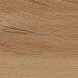 Leccio Oliato 10x40 Serenissima Cir