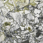LU628559 Ocean White Lucido 8mm 60x120 IRIS FMG
