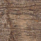 Kiwi Redroot Mat 20x120 Alpas Euro