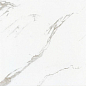D602232 Carrara 60x60 Gani