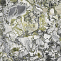 UM6L300675 LUXURY WHITE Lucidato Shiny 6mm 300x150 Ariostea