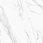 Du 5004 BG B Polished 60x60 A-Ceramica