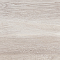 WT9VET11 Vertus Oak 249x500 AltaCera