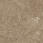 NTTHS99959D Axion Feron Taupe 60x120 NT Ceramic фото в миниатюре 3