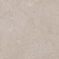 Ural Bone R10 Carving 60x120 Gravita