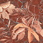 145881 Mind Lya Red Molato Rect 60x120 Naxos фото в миниатюре 3