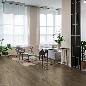 Inedito Ragno Marazzi