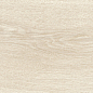 39247 Grow Maple SP/24X151X0,9/R 24x151 Peronda фото в миниатюре 13