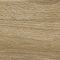 00R06P13 Woodglam Naturale 10x70 Ragno Marazzi