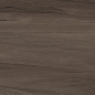 GP36GOA21 Goa Marron матовый 300x600x8 Artkera Group