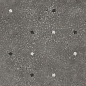 A039159 Ama Fiori Graphite Rect. R10 60x60 Ape Ceramica