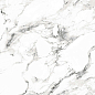 Bianco carrara PGVT 60x60 Casati Ceramica