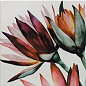 Decor Tikida 20x20 Mainzu