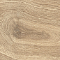 S22A02 Forest honey slim rec 22x120 Fanal
