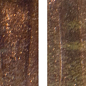WG43 Gold Star 2x2 32.7x32.7 ROSE MOSAIC