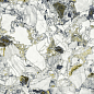 610010002971 F.d.M.Quark Ceppo Apuano Forest Matt Rett 80x80 Atlas Concorde Russia