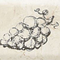 Decor Fruit Mistral Grape 10x30 Monopole Ceramica