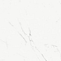 P612516 Statuario Classico Soft 120x60 Ariostea