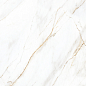 CP4004-A Selva Gold Carving Pro 60x120 Creanza