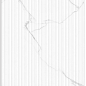 Lentin Statuario Endless Strip Punch 60х120 LV Granito