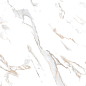 CR4019-A Calacatta Gold Carving 60x120 Arcadia Ceramica