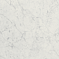 610010001188 Charme Extra Carrara Nat Ret 60x60 Italon