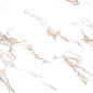 CR4019-A Calacatta Gold Carving 60x120 Arcadia Ceramica