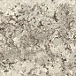 UG6P300685 Alaska White Prelucidato 6mm 150x300 Ariostea