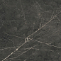 754698 Pantheon Marble 06 Luc 60x120 Cerim