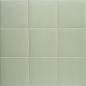 Technical Basil 20x20 Mainzu