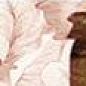 Бордюр Peony 4х25 Laparet
