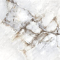 28561 CRYSTAL White 60x120 Peronda