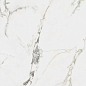 Ravena Pulido Rect. 80x80 Benadresa