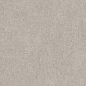 766521 Elemental Grey Sandstone Luc Ret 60x120 Cerim