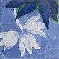 Portofino 20x20 Mainzu