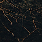 240063 MARBLE NERO S.LAURENT LAPPATO 58.5x117.5 Versace (Gardenia Orchidea)