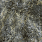600180000051 Stellaris Madagascar Dark Lux Ret 120x278 Italon