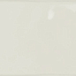 Milenium White 10x20 Ribesalbes