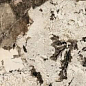 775054 Heritage Luxe Flame Glossy 9mm 60x120 Rex Ceramiche