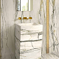 G67584 Black & Gold Lux R 60x120 Versace (Gardenia Orchidea) фото в миниатюре 19